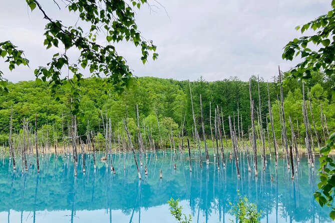 Wherever you want! 1-Day Private Tour from Sapporo to Furano more - Key Things You’ll Notice Right Away