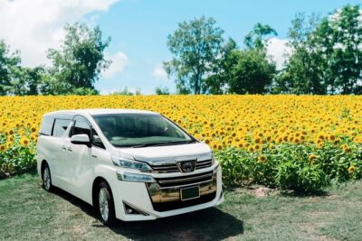 Wherever you want! 1-Day Private Tour from Sapporo to Furano more