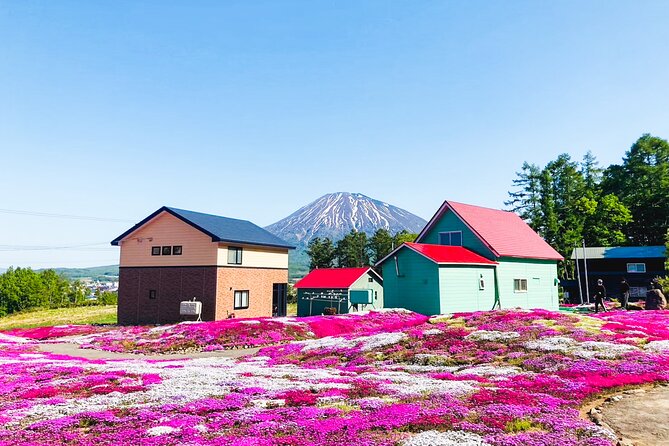 Wherever you want! 1-Day Private Tour from Sapporo to Furano more - Price And Value: When $472.95 Per Group Makes Sense