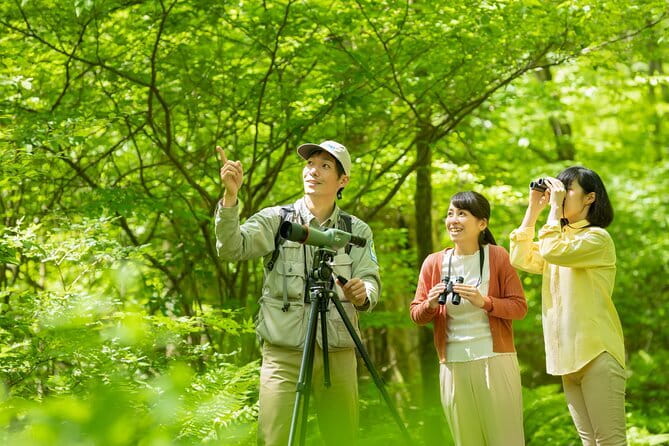 Wild Bird Sanctuary Forest Guided Tour in Nagano - Key Highlights You’ll Actually Feel on the Trail