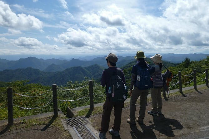 Wild Bird Sanctuary Forest Guided Tour in Nagano - Price and Value in Plain Terms