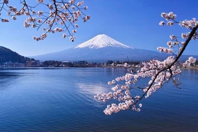 Winter Special: Clear View Mt. Fuji E-Bike Tour - Stop 3: Yusui Park spring water sites, a local rhythm