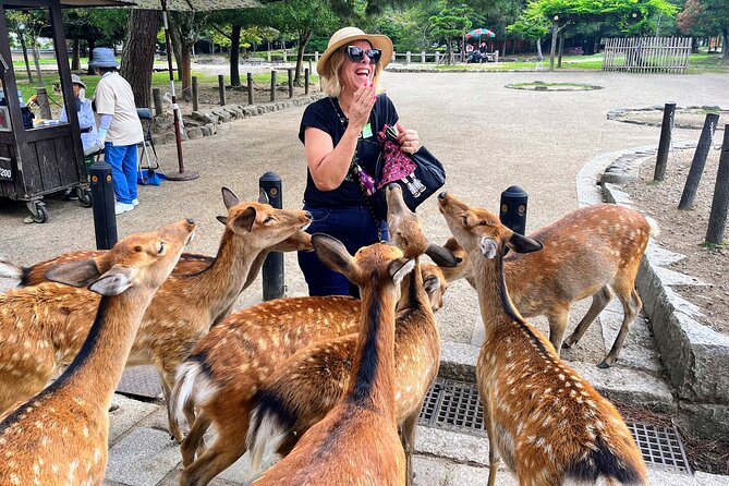 World Heritage Kyoto & Nara Uji Authentic Matcha Experience - Key highlights worth showing up for