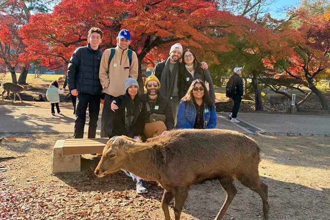 World Heritage Kyoto & Nara Uji Authentic Matcha Experience - Meeting point, timing, and how the coach day flows