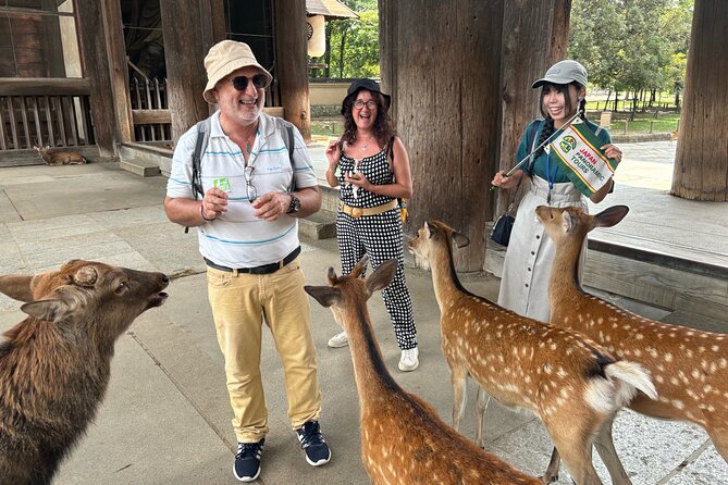 World Heritage Kyoto & Nara Uji Authentic Matcha Experience - Uji lunch by the river, and why opting in can help