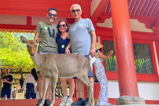 World Heritage Kyoto & Nara Uji Authentic Matcha Experience - Byodoin Temple and the Phoenix Hall connection to 10 yen