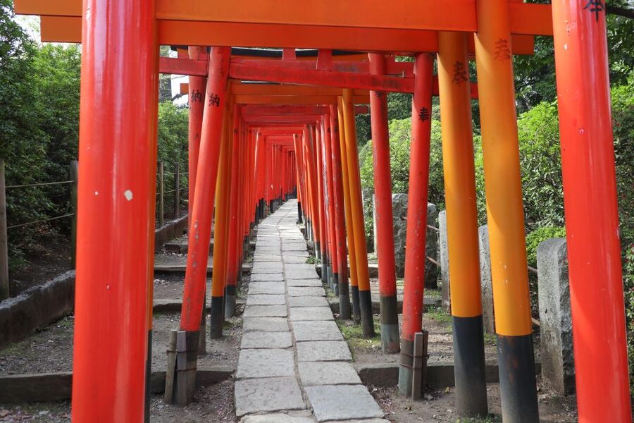 Yanaka District: Historical Walking Tour in Tokyo's Old Town - Nezu Shrine and its torii-photo entrance into old Tokyo