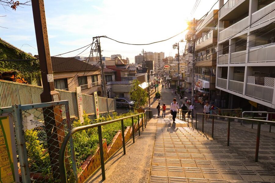 Yanaka District: Historical Walking Tour in Tokyo's Old Town - Meeting at Nezu Station, then walking like you mean it