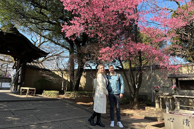 Yanaka Walking Tour: Historic and Traditional District of Tokyo - Yanaka District: The Streets That Explain Edo Tokyo