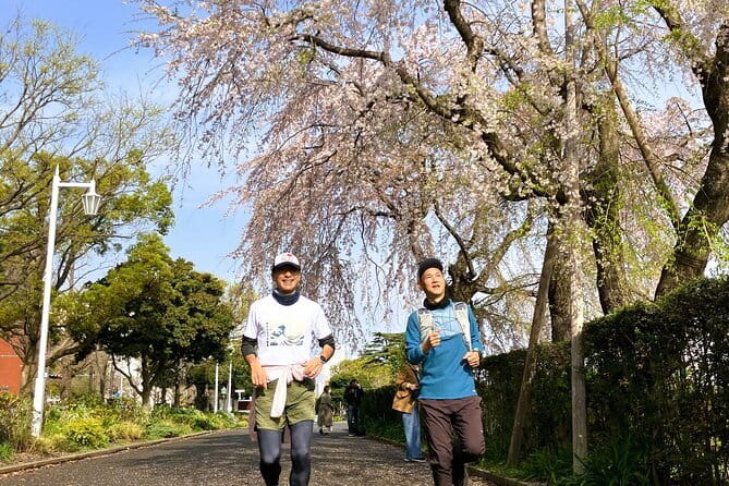 Yokohama Half Day Walking Tour with an Expert Local Guide - Landmark Tower: the 69th floor payoff