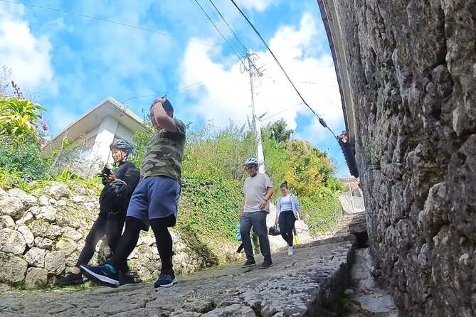Zodiac Shrines and Naha Backstreets Cycling Tour - Getting started near Makishi Monorail: easy pickup, quick safety rhythm